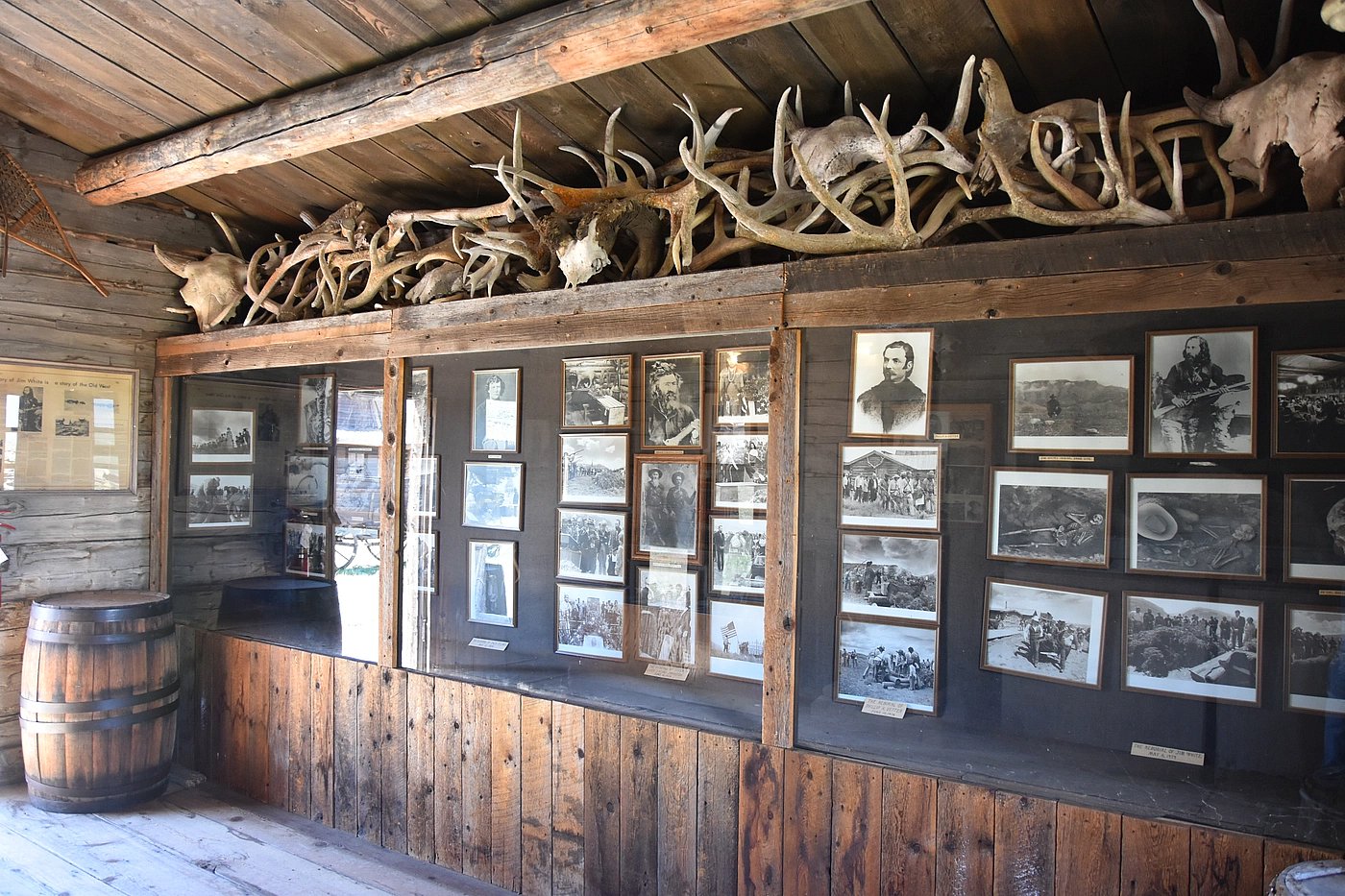 Antlers and antique photos to add provenance to the Wood River Homestead cabin in Cody WY