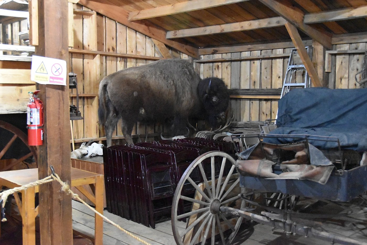 Carriage at Old Trail Town