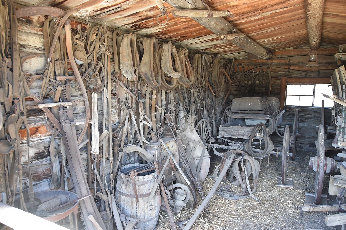 Tools and tack from a blacksmith shop in Cody WY